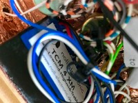 Taz (1) : MODKAY CC - Taz