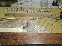 Foto 21-5-17 21 27 39 (7)