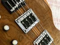 PakusBass (10)