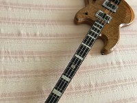 PakusBass (15)