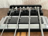 PakusBass (21)