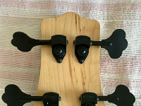 PakusBass (9)