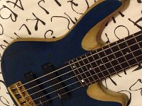 TrasteadoGuido2 (11)