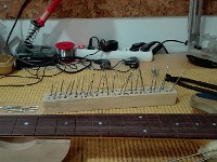 TrasteadoGuido2 (24)